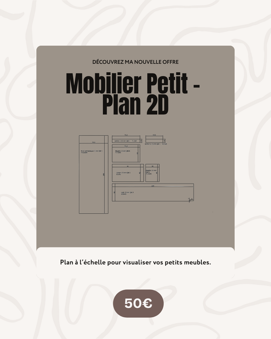 Plan 2D Mobilier Petit