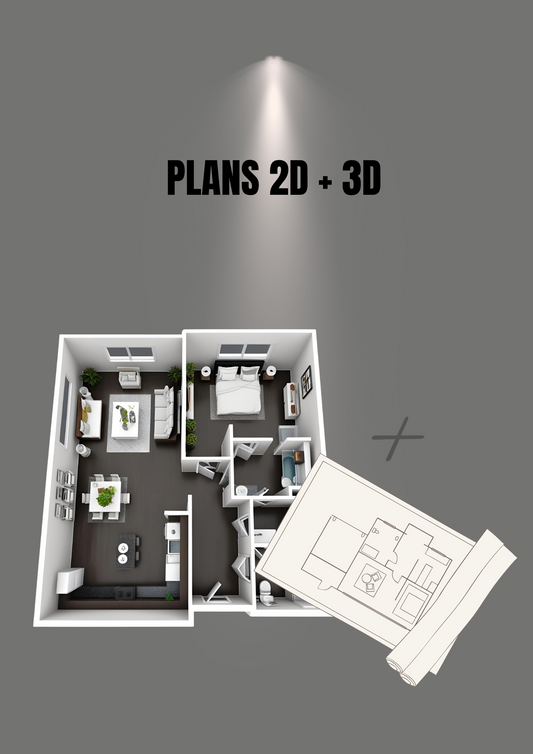 Plan 2D + 3D